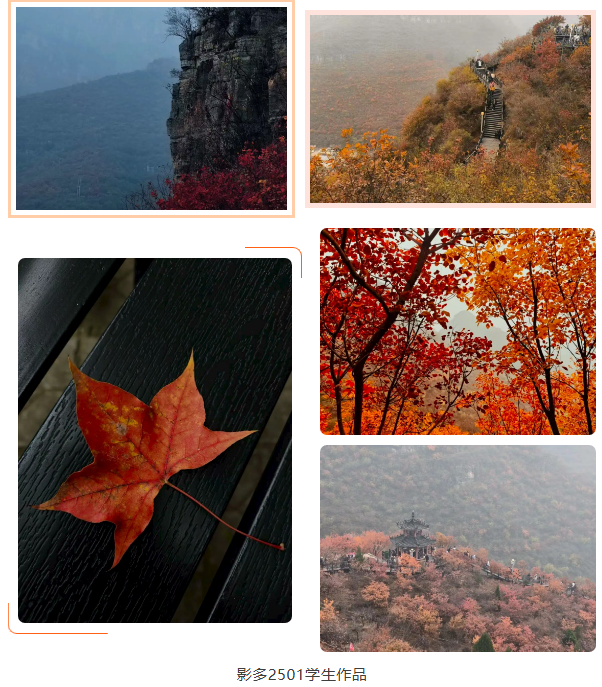 微信图片_20251110110958_211_3