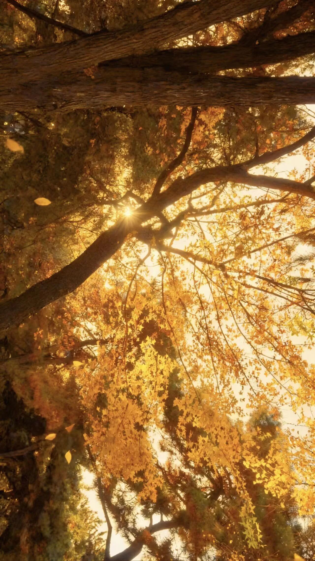 微信图片_2025-11-19_155515_106