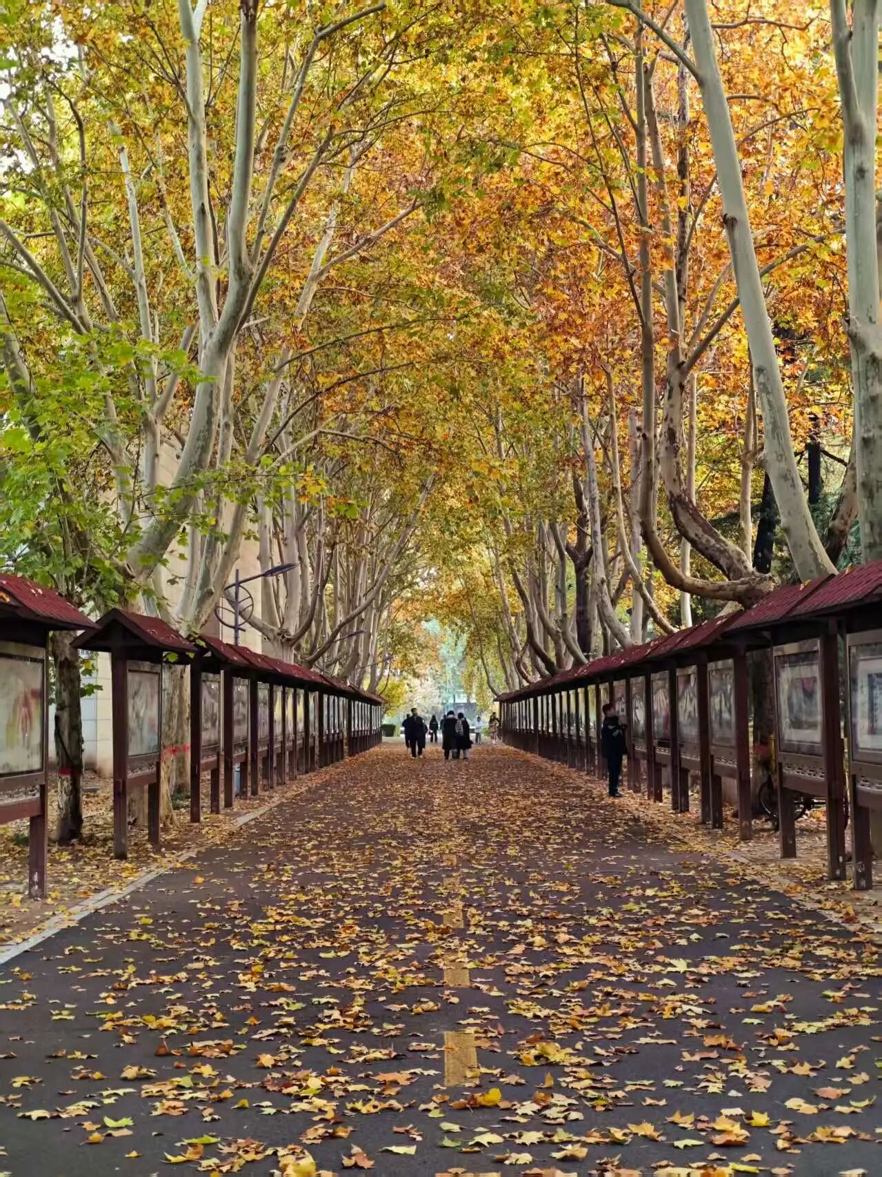 微信图片_2025-11-19_155524_664